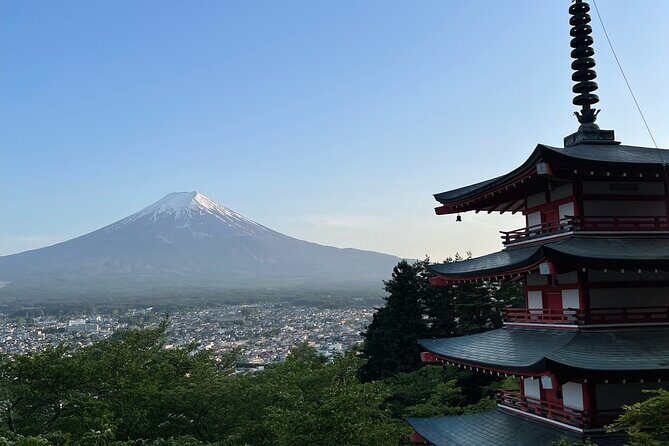 Private Tour to Mt Fuji and Hakone with English Speaking Driver - Price and what you actually get for $495.51