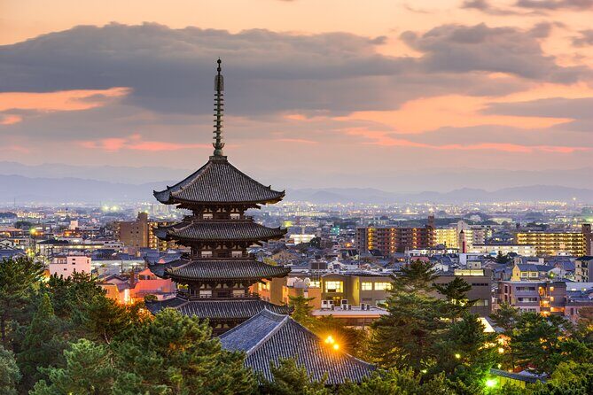 Private Tour to Nara from Osaka with English speaking Driver - Why this private Osaka to Nara trip feels calmer