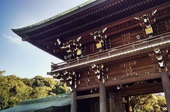 Private tour Tokyo - The Harmony of Modernity and Tradition - Price and logistics: where the value really comes from