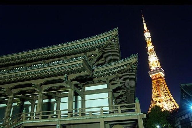Private tour Tokyo - The Harmony of Modernity and Tradition - Who should book this private Tokyo walk (and who might not)