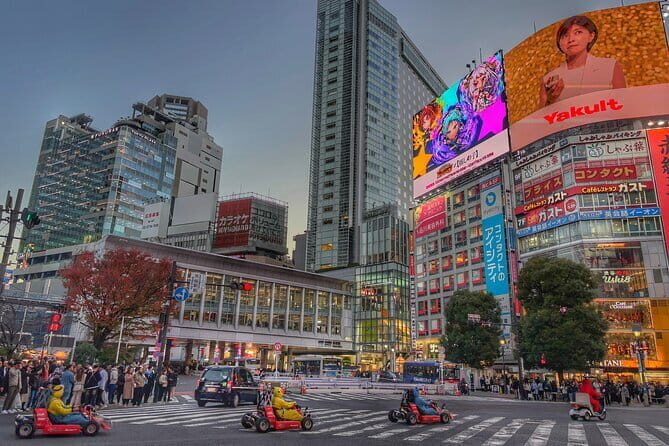 Private Tour with a Local Guide - Learn about daily life in Japan - Key Things That Make This Tour Worth Your Time