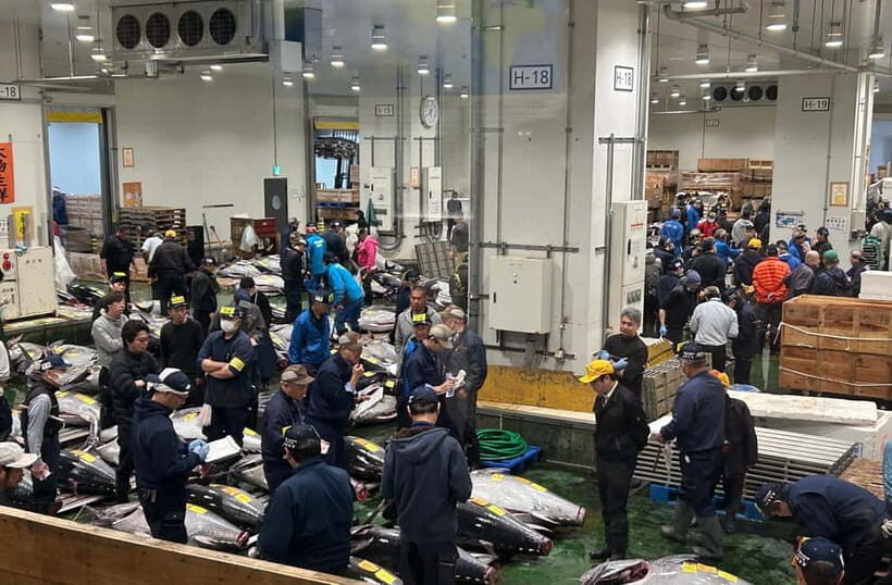Private Toyosu & Tsukiji Market Adventure with Tuna Auction - Key moments worth waking up for