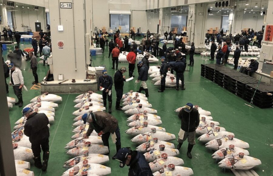 Private Toyosu & Tsukiji Market Adventure with Tuna Auction - Toyosu tuna auction: the morning sport you can watch up close