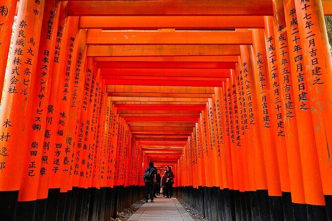 Private Transfer Between Kyoto and Kansai Airport KIX - The ride itself: what private means for your day