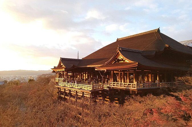 Private Transfer Between Kyoto and Kansai Airport KIX - Value for money: why this can beat the hassle price
