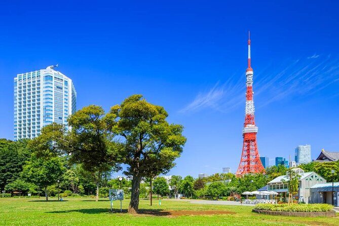 Private Transfer for Custom Day Tour in Tokyo - Key Points You’ll Care About