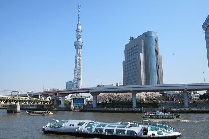 Private Transfer for Custom Day Tour in Tokyo - Senso-ji Temple in Asakusa: Incense, Lanterns, and Time to Wander