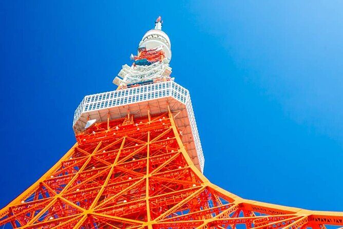 Private Transfer for Custom Day Tour in Tokyo - Sumida River Stop: Cruise Option for City Views