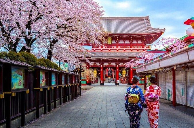 Private Transfer for Custom Day Tour in Tokyo - Tokyo Tower: A Classic Finish with Photo Power