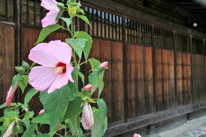 Private transfer Kanazawa to Takayama Including Shirakawago - Timing: a morning start with a clear rhythm