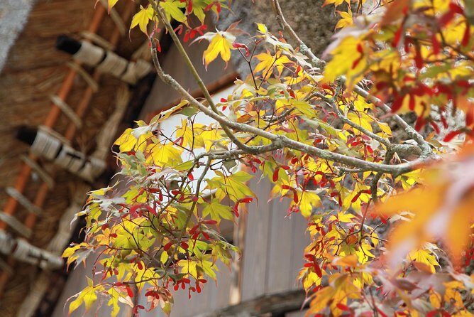 Private transfer Kanazawa to Takayama Including Shirakawago - Who this transfer is best for