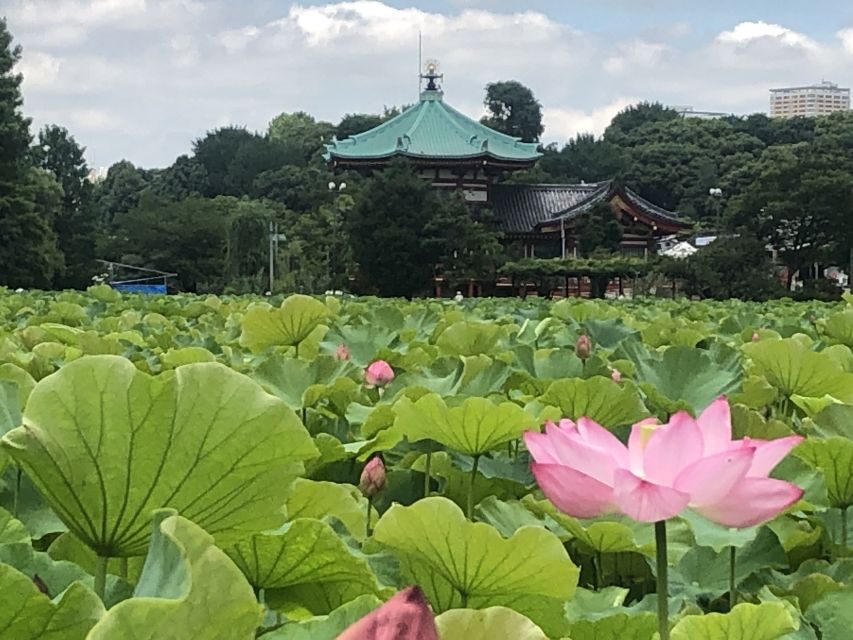 Private Ueno Park Architecture Tour - International Library of Children’s Literature: preservation plus a new arch annex