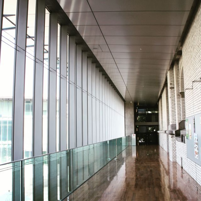 Private Ueno Park Architecture Tour - Night tours: same buildings, different mood and angles