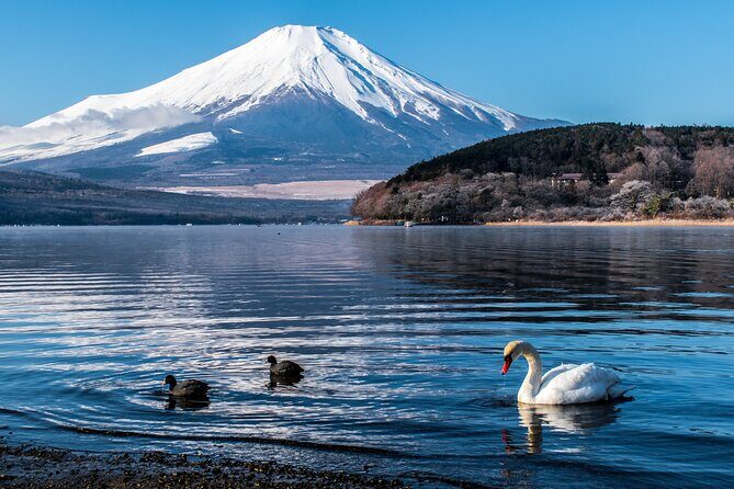 Private Unforgettable Mt Fuji Tour with English Speaking Driver - Mt. Fuji 5th Station: the high-altitude payoff (and the weather risk)