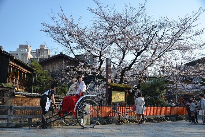 Private & Unique Kyoto Cherry Blossom "Sakura" Experience - Maruyama Park: hanami mode from the first step
