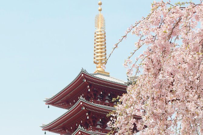 Private & Unique Kyoto Cherry Blossom "Sakura" Experience - Daimaru depachika: turning dinner logistics into an experience