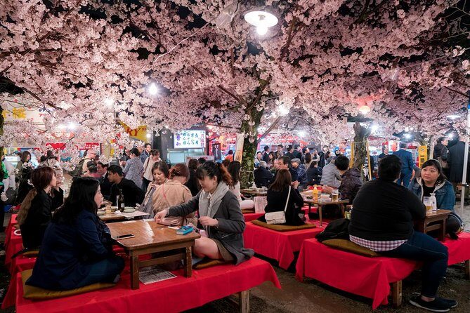 Private & Unique Kyoto Cherry Blossom "Sakura" Experience - The hanami picnic: where the season becomes the main event