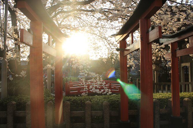Private & Unique Kyoto Cherry Blossom "Sakura" Experience - Who this Kyoto sakura experience suits best
