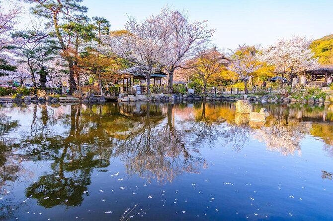 Private & Unique Kyoto Cherry Blossom "Sakura" Experience - Kyoto Gyoen National Garden: quiet blossoms where your brain can breathe