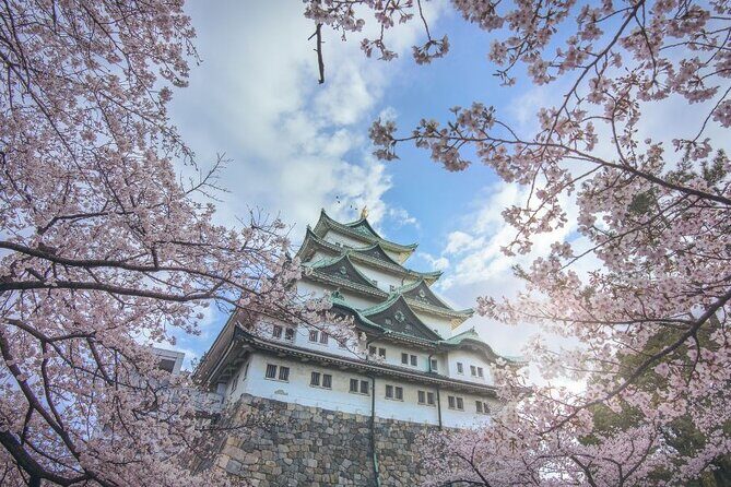 Private & Unique Nagoya Cherry Blossom Sakura Experience - Start at Meitetsu Nagoya Eki Mae and Glide Into Sakura