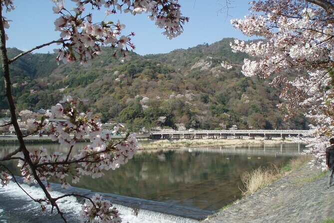 Private Walking Tour in Bamboo Forest & Hidden Spots in Arashiyama - Sagano’s quiet side: aristocrat resort vibes