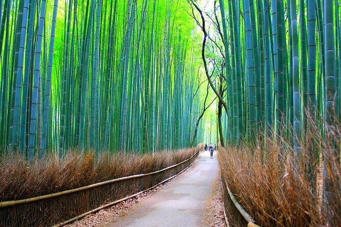 Private Walking Tour in Bamboo Forest & Hidden Spots in Arashiyama - Saga Toriimoto Preservation Area: the old Atago highway story