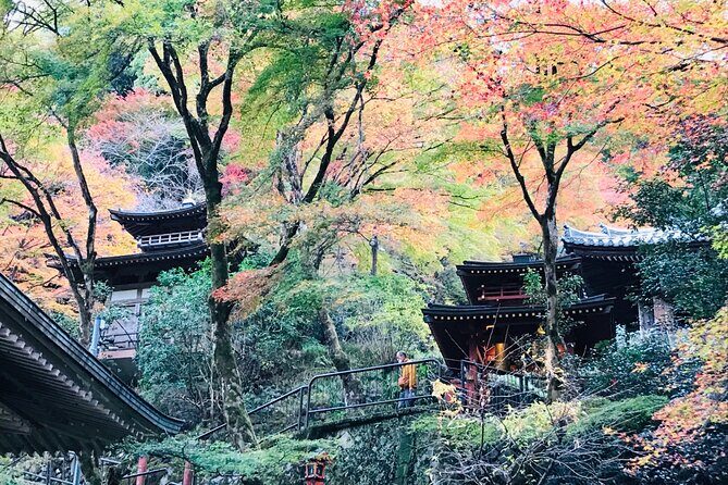 Private Walking Tour in Bamboo Forest & Hidden Spots in Arashiyama - The 9:00 a.m. route: station start, bridge finish