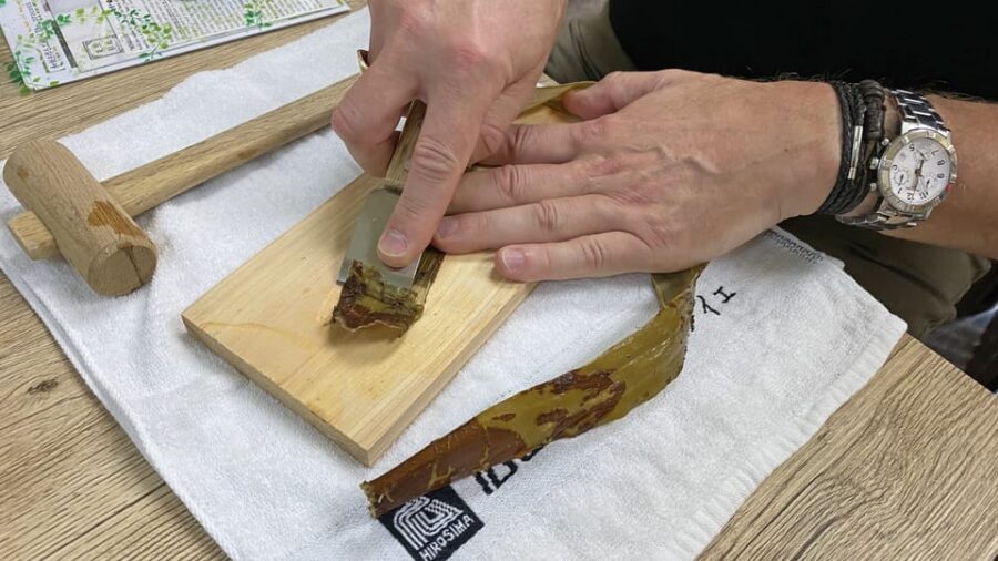 Private Workshop for Making Paper Last 1,000 years in Ueno - Tea Break Timing: Kozo Leaf Japanese Paper Tea and Local Sweets