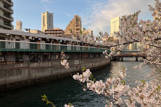 Private Yokohama Noge Food & Bar Tour – Local Night Experience - Who This Yokohama Noge Tour Suits Best