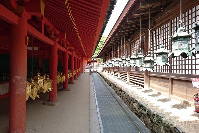 Relax in Nara: Deer Park, Todai-ji Temple and Merchants' Town - Kasuga Grand Shrine: lanterns, forest quiet, and deer behind the stones