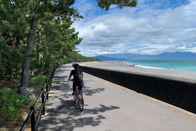 Rental Hybrid Bikes at Shizuoka Station (24 gears: Not e-bikes) - Choosing your ride: river, sea, tea country, and shrine-style stops