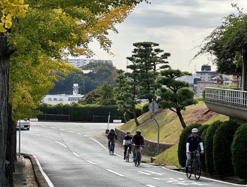 Ride around the Castle. Slurp like a Local - Key highlights you’ll feel fast