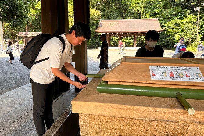 Sacred Morning Walk and Brunch Meiji Shrine - Why start at Meiji Jingu before Tokyo wakes up