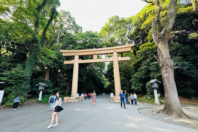 Sacred Morning Walk and Brunch Meiji Shrine - Small-group attention in a city that moves fast