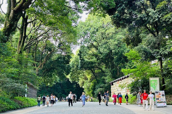 Sacred Morning Walk and Brunch Meiji Shrine - The walk through Meiji Jingu: calm, context, and smart pacing