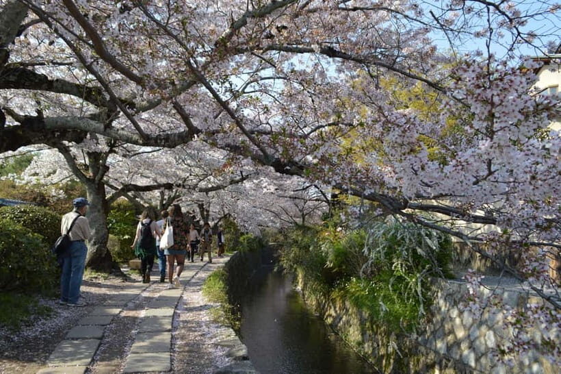 Sacred Pathways: Discover the Philosopher's Path of Kyoto - Why the Philosopher’s Path walk feels special (and not touristy)