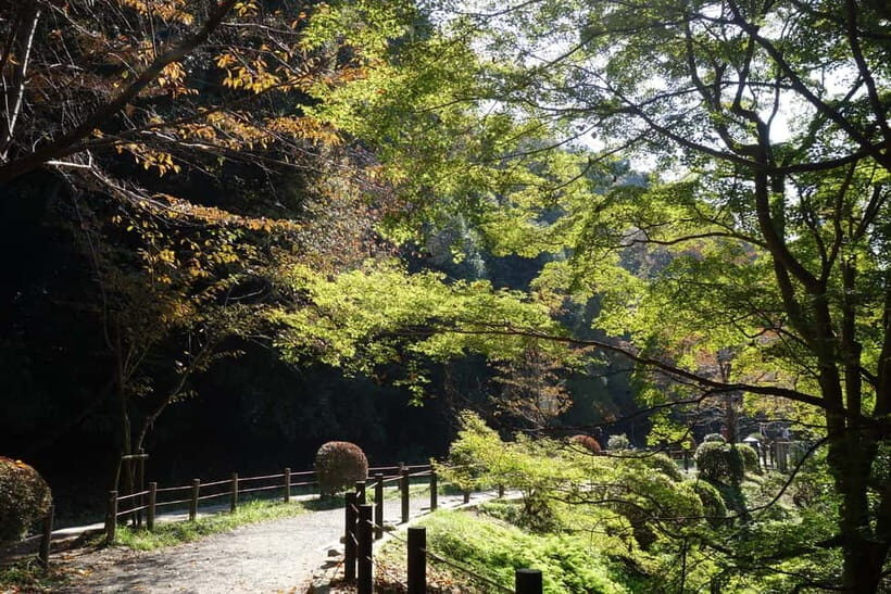 Sacred Pathways: Discover the Philosopher's Path of Kyoto - What to do before you go: the comfort checklist