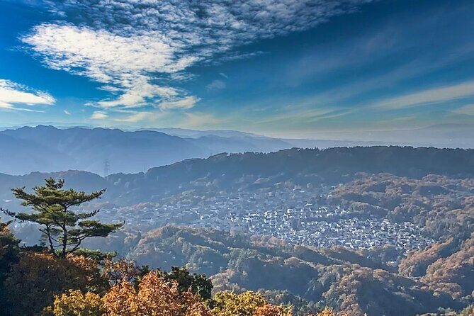 Sacred Peak and Scenic View Hieizan Enryaku ji and Hiyoshi Shrine - The full 7.5-hour pacing: what fits and what might feel long