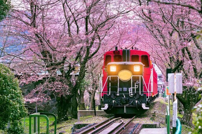 Sagano Romantic Train Ticket - Sagano Romantic Train: what the 25–30 minutes really feels like