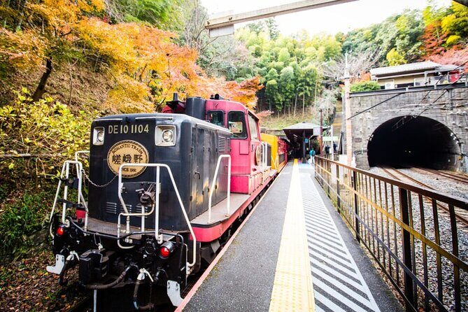 Sagano Romantic Train Ticket - E-tickets, seat numbers, and avoiding the classic mistake