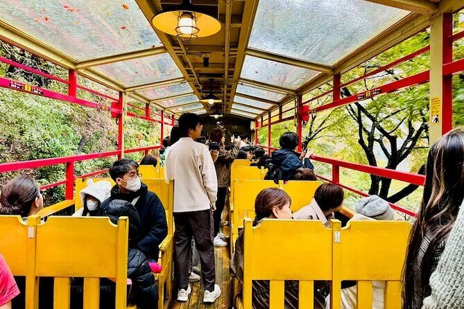 Sagano Romantic Train Ticket - Onboard rules: how to keep it comfortable for everyone