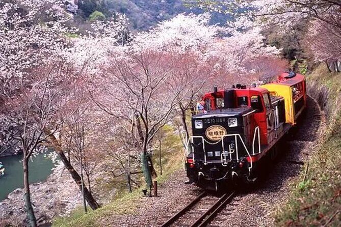 Sagano Romantic Train Ticket - Seasonal views you’ll actually see from the windows
