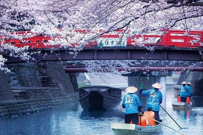 Sakura Magic and Nabana No Sato Day Tour From Osaka - Key highlights to know before you go