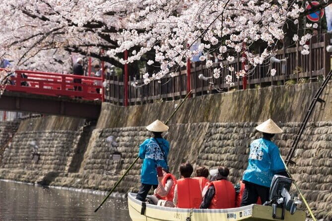 Sakura Magic and Nabana No Sato Day Tour From Osaka - Price and what you actually get for the cost