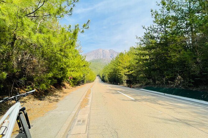 Sakurajima Century Lava Climb Journey with E-bike - Price Check: Is $105.02 Good Value for Sakurajima?