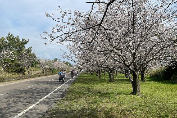 Sakurajima One Day Round Journey with E-bike - Lunch break: time for noodles, coffee, and simple recovery