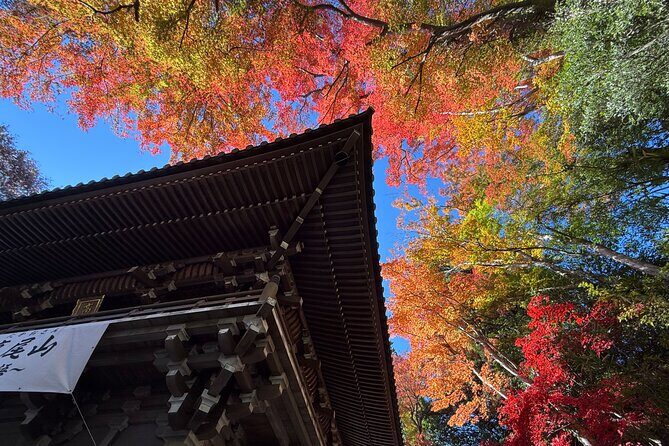 Samurai Guide Sho’s Mt. Takao Hike, Temple & Onsen from Shinjuku - A Samurai-Style Day Trip That Actually Starts in Shinjuku