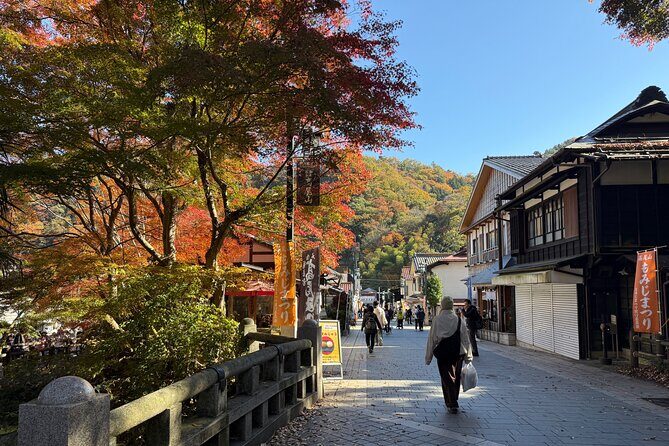 Samurai Guide Sho’s Mt. Takao Hike, Temple & Onsen from Shinjuku - TAKAО36SAUNA Onsen: Tattoo-Friendly, Towels Included, Craft Beer Waiting