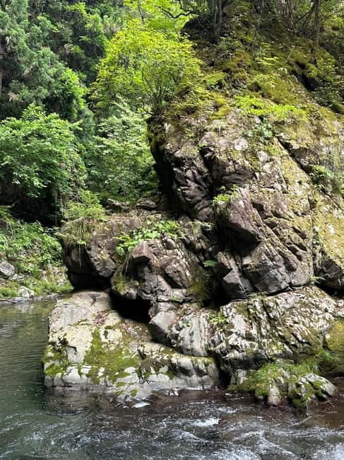 Samurai Swordsmanship and Sound Meditation in nature - Watching the sword dance and sacred performance