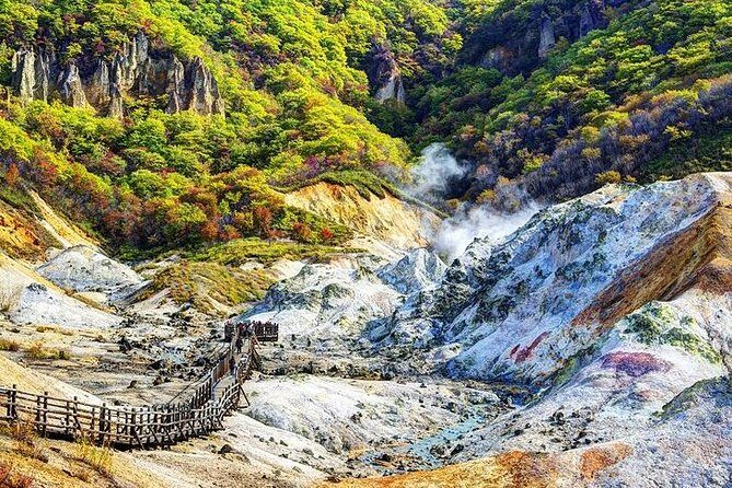 Sapporo 6hr Private Tour with Government Licensed Guide - Should you book this Sapporo private tour?